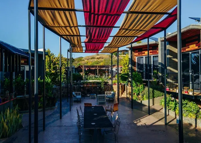 Entre Vides Valle De Guadalupe