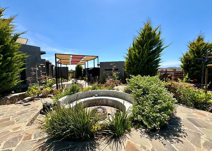 Entre Vides Valle De Guadalupe